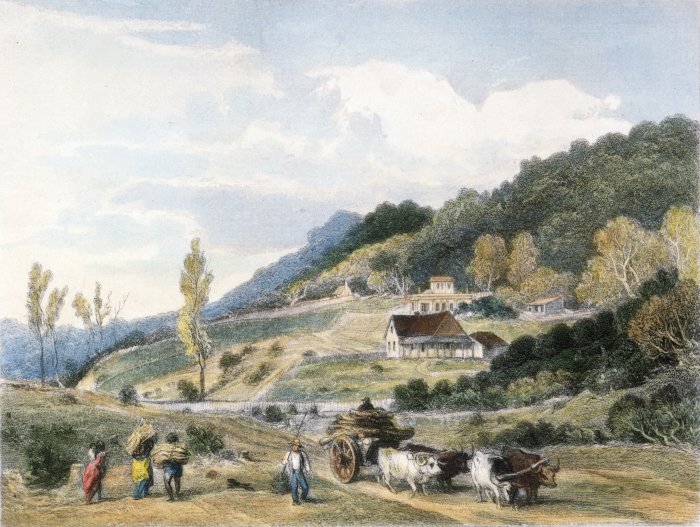 Tinakori Road, c.1847, as depicted from Hawkestone Street. The building in the middle distance is Levin’s house – that eventually became Premier House, home of New Zealand’s Prime Ministers, and is located just north of the suburban centre. Image: National Library reference 