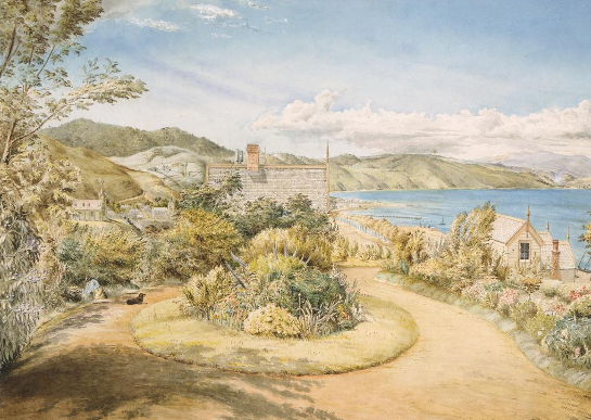 1868 painting of Captain Sharp’s garden with a view to the north. National Library reference: Igglesden, Charles Moore, 1832-1920. Igglesden, Charles Moore 1832-1920 :[View looking from Captain Sharp's garden, Wellington]. Dec. 1868.. Ref: C-119-022. Alexander Turnbull Library, Wellington, New Zealand. http://natlib.govt.nz/records/22487915
