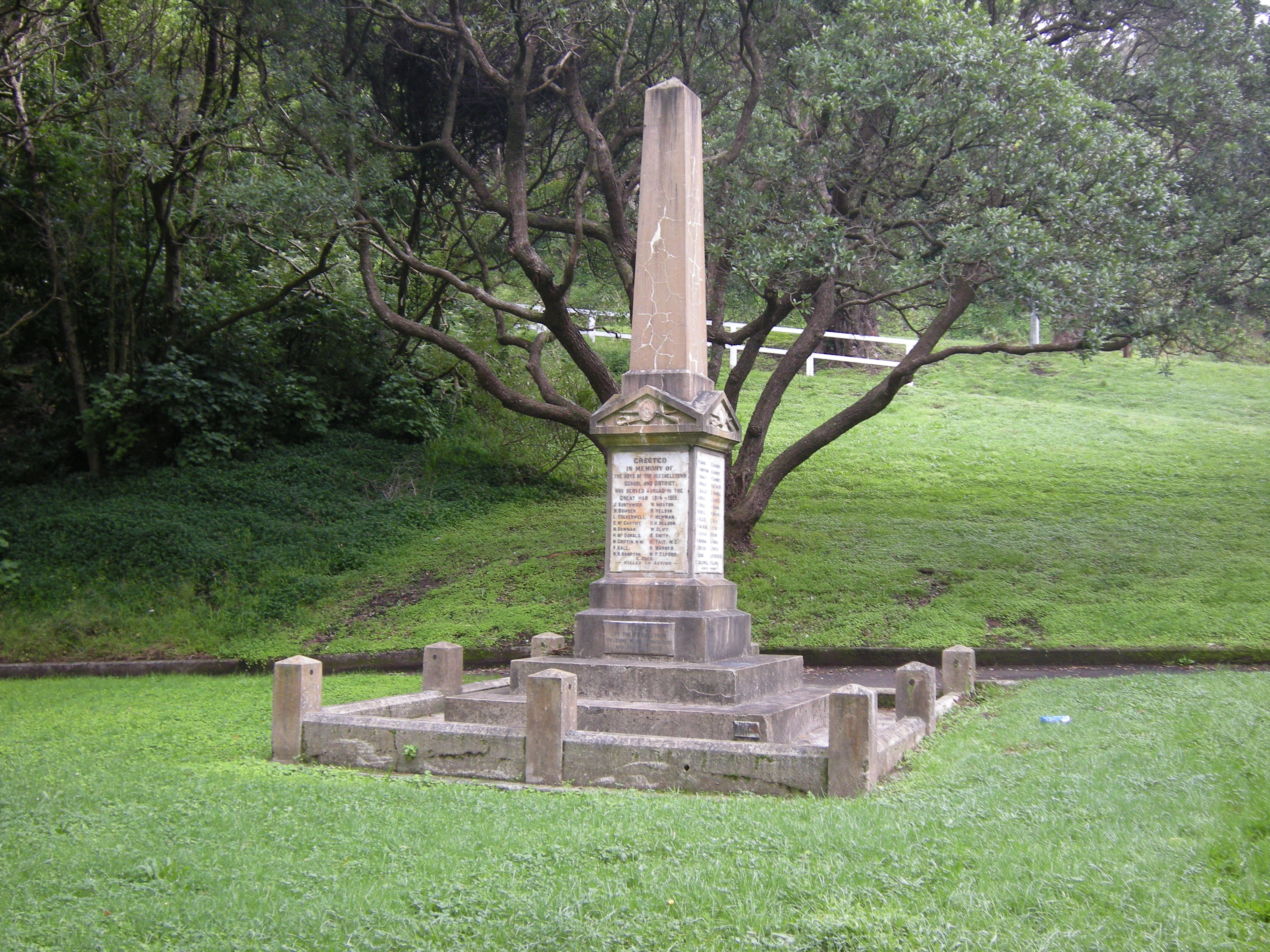 Image: WCC, 2014