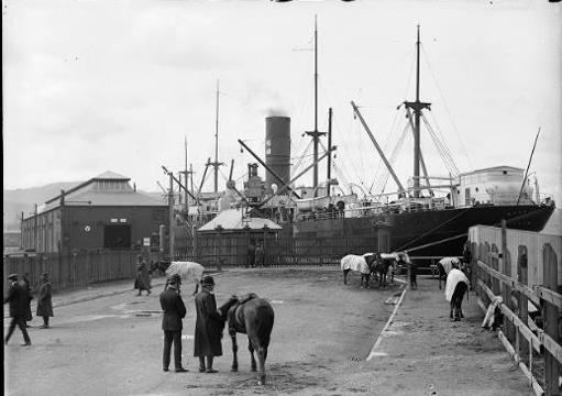 1913 – Taranaki Street Wharf during the Great Strike. The view includes policemen and horses, with Shed ‘Y’ (Shed 24) and the Dorset in the distance. National Library reference: Wellington wharf during the 1913 waterfront strike. Ref: 1/2-048781-G. Alexander Turnbull Library, Wellington, New Zealand. /records/23017426 